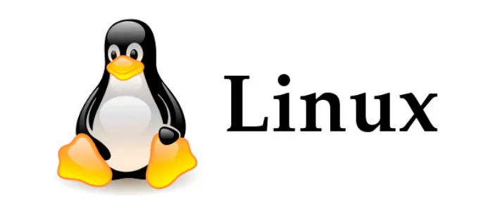 Why Administrators Choose Linux VPS: Speed, Reliability, Control